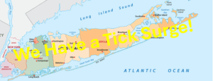 map of Long Island NY